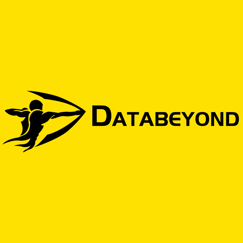 DataBeyond Embodied Intelligence Research Institute Established in Hangzhou